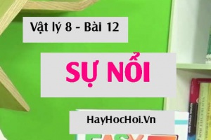 Sự nổi là gì? Độ lớn của lực đẩy ÁC-SI-MÉT xác định như thế nào, phụ thuộc vào các yếu tố nào? - Vật lý 8 bài 12
